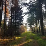 8 Person In Toftlund-by Traum Prázdninový dům *