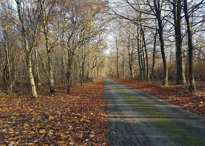 Feriehus 8 Person In Toftlund-by Traum Toftlund