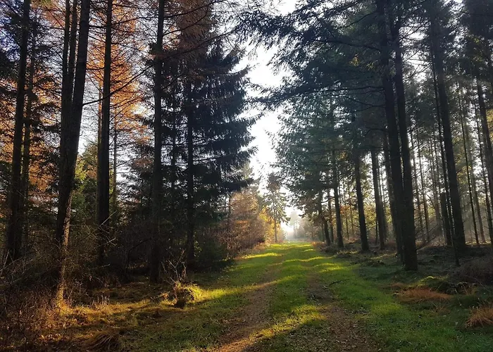 8 Person In Toftlund-by Traum Feriehus *